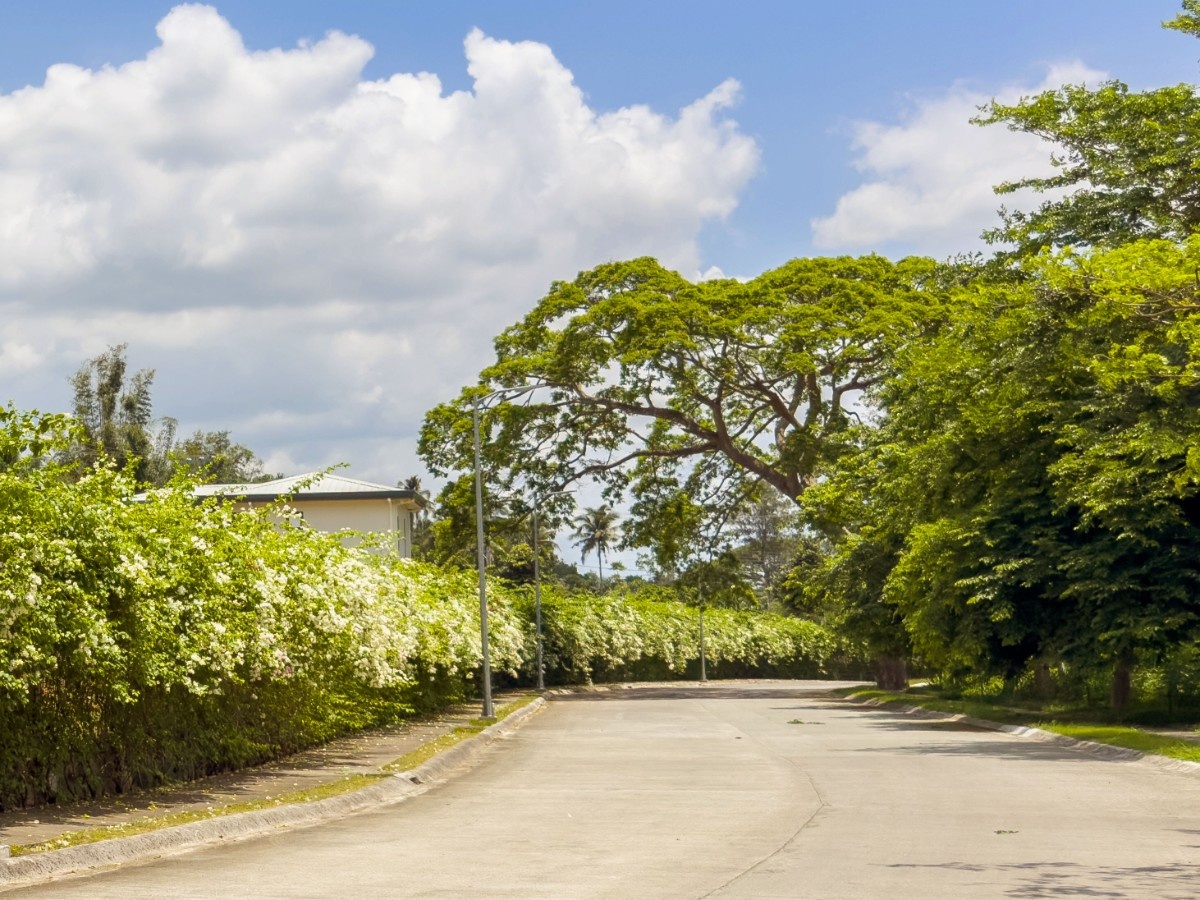 Main Spine Road