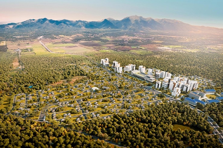 Molinillo   Website Thumbnail   767x602