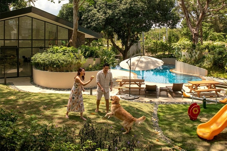 Terreno WebsiteBanner 740x492
