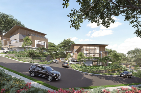 Lauan Website Thumbnail 767x602